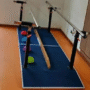 Parallel Bar
